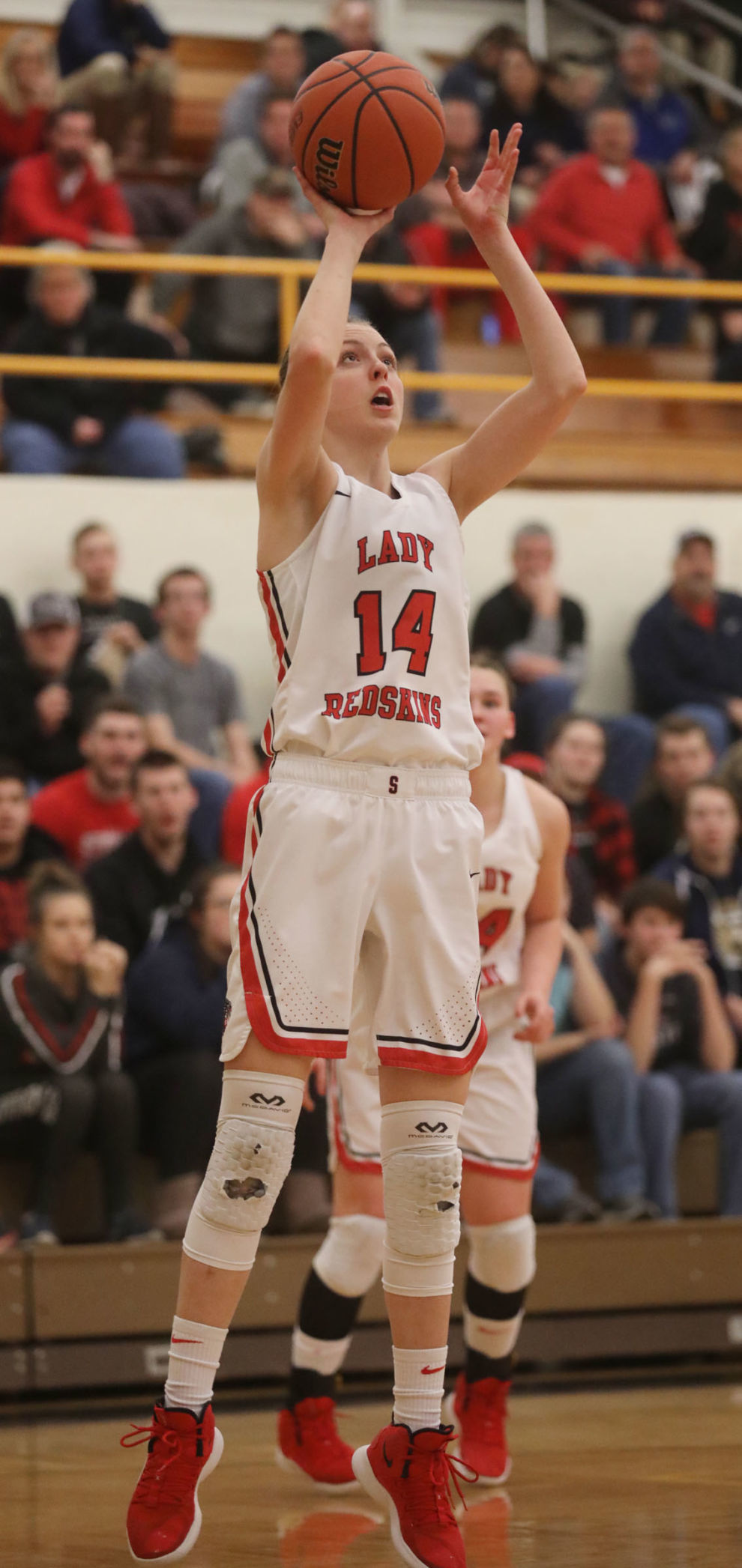 Sullivan vs Edwards Co girls basketball 5 2.11.19.jpg